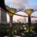 singapour-design-garden