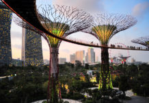 singapour-design-garden