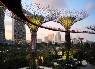 singapour-design-garden
