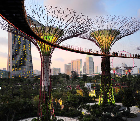 singapour-design-garden