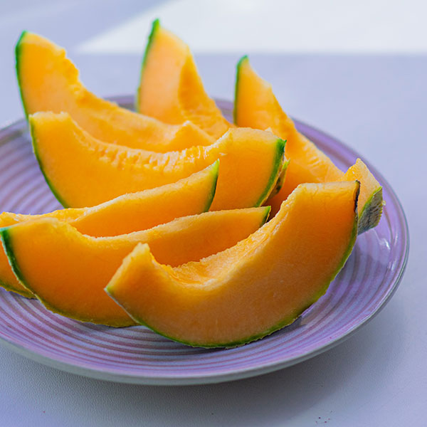 fruit-melon-cavaillon
