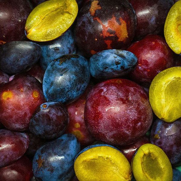 fruit-prunes
